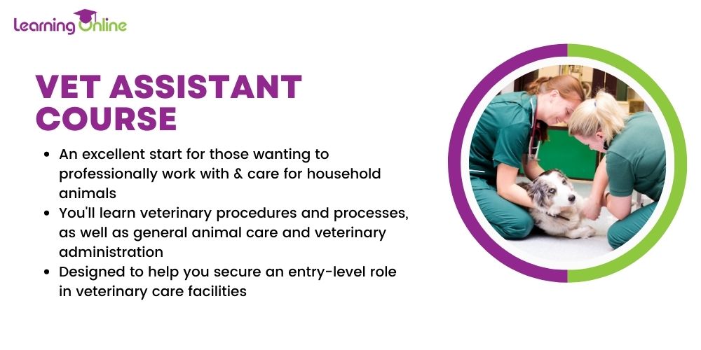 Vet Assistant Course infographic