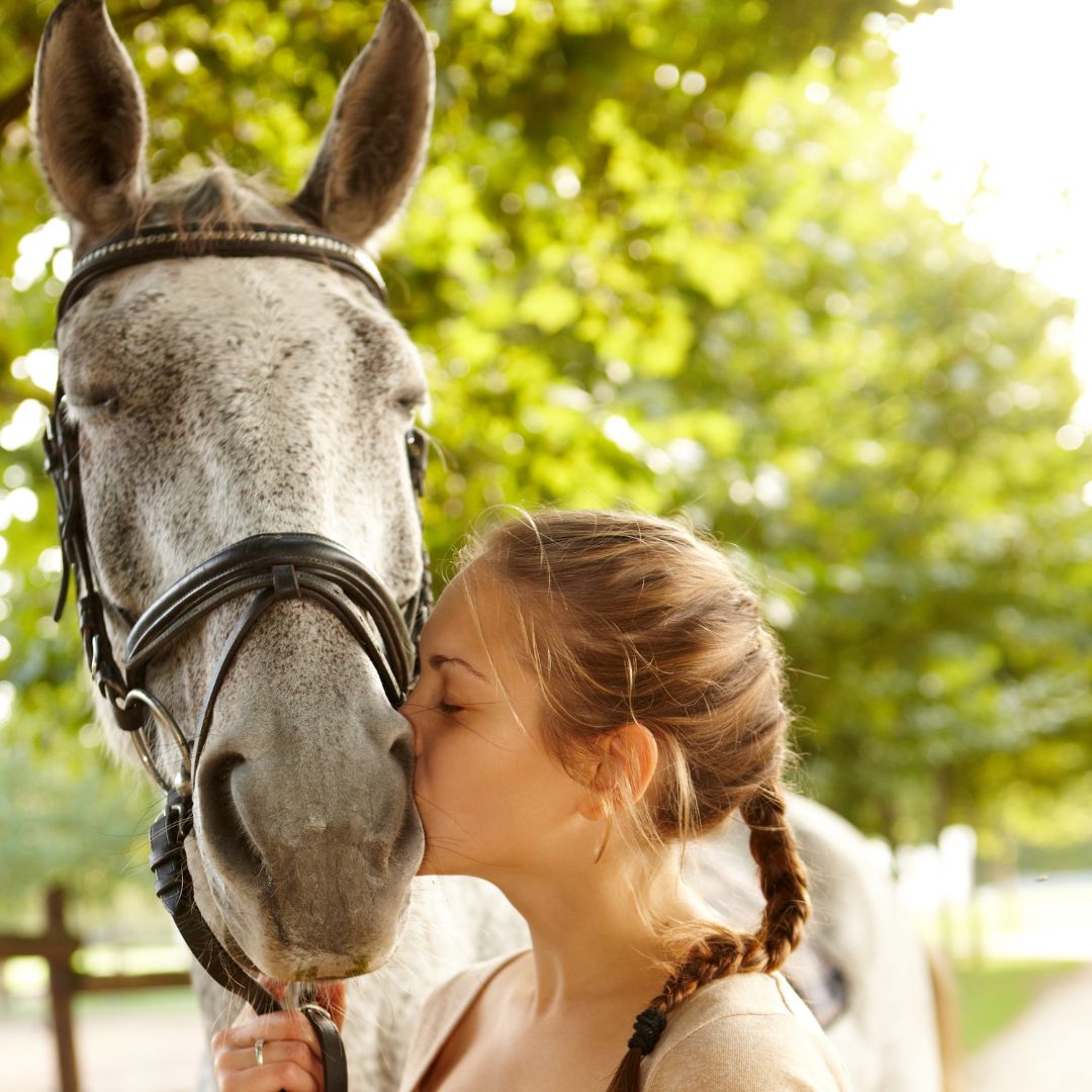 Girl kissing a gray horse