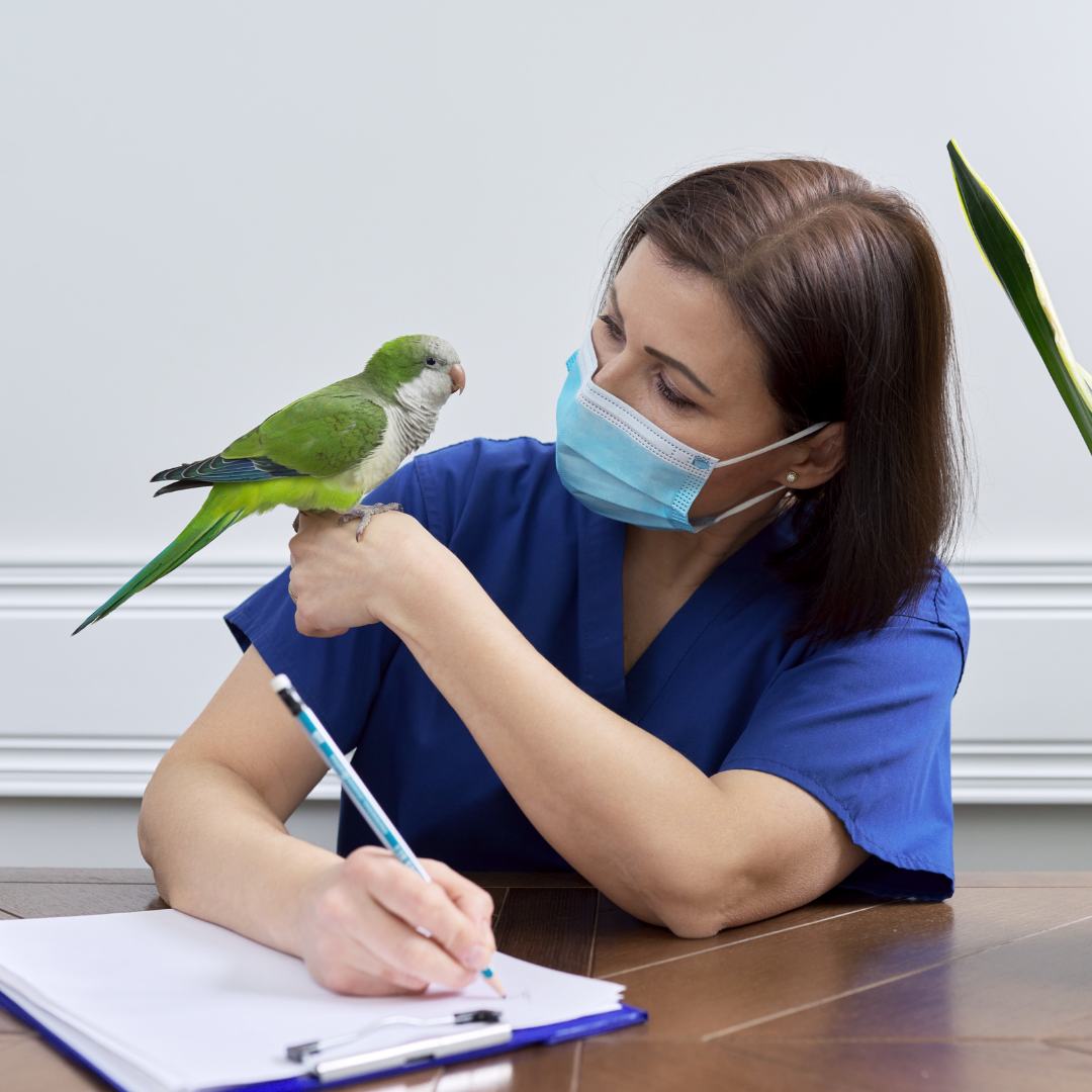 Woman with a bird on her hand taking notes